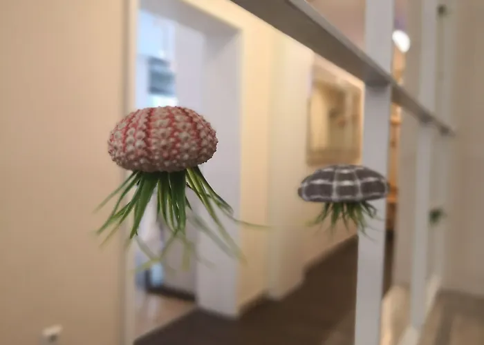 Sevendays カールスルーエ